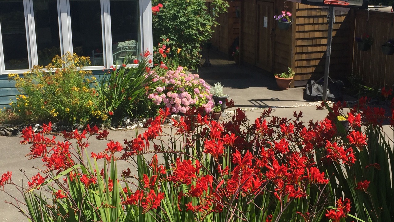 Photo of Outdoor in Regional District of Nanaimo