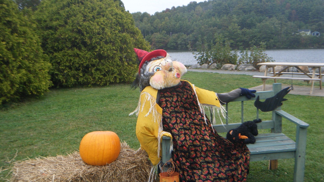 Photo of Others in Mahone Bay