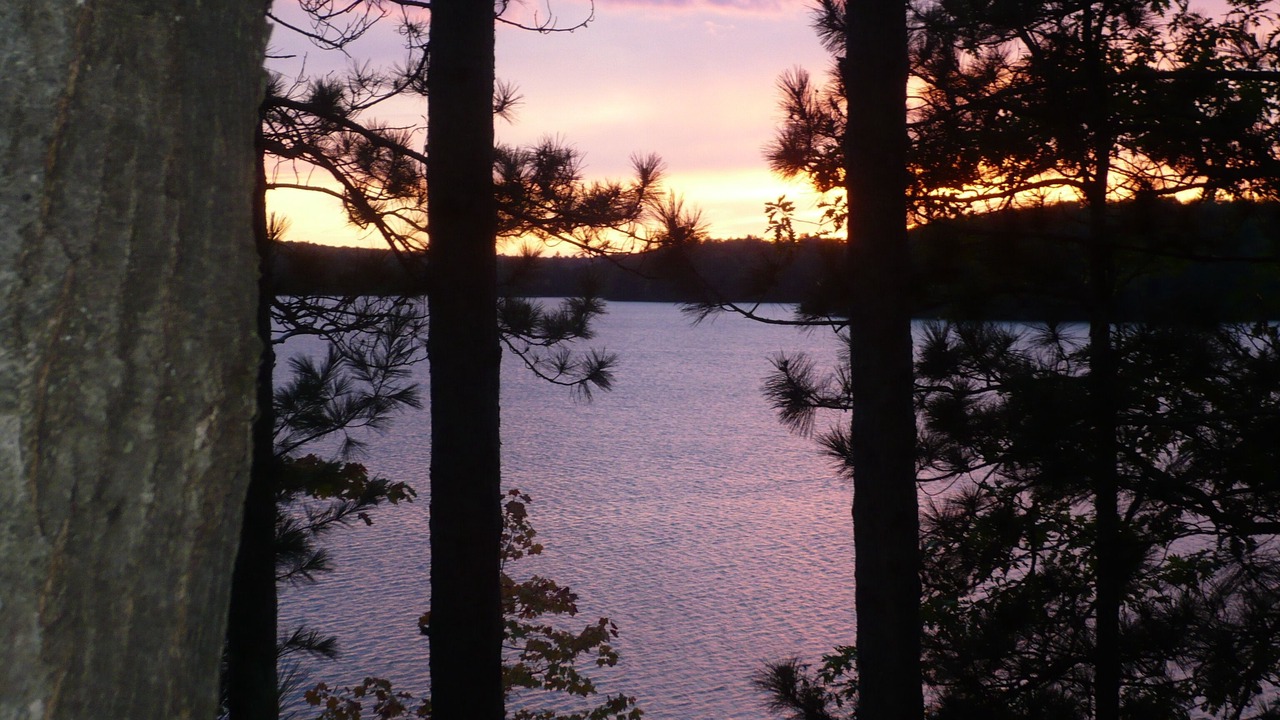 Photo of Others in Muskoka Lakes