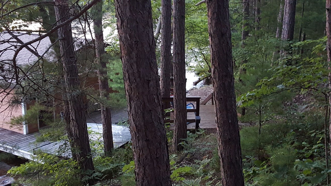 Photo of Others in Muskoka Lakes