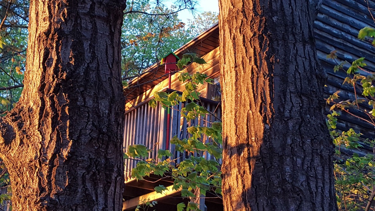 Photo of Others in Muskoka Lakes