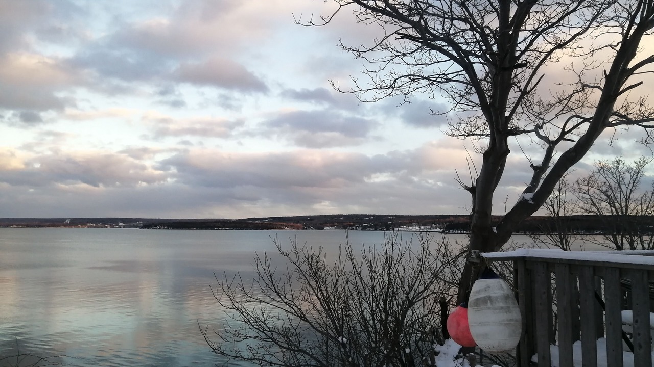 Photo of Outdoor in Digby