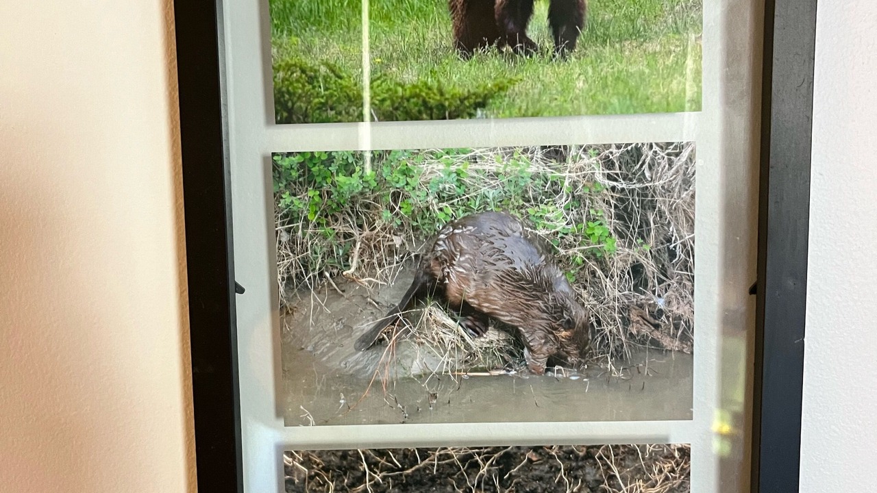Photo of Others in Canmore
