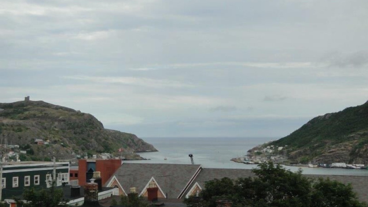 Photo of Others in Downtown St. John's