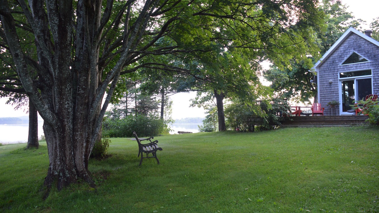 Photo of Others in Antigonish