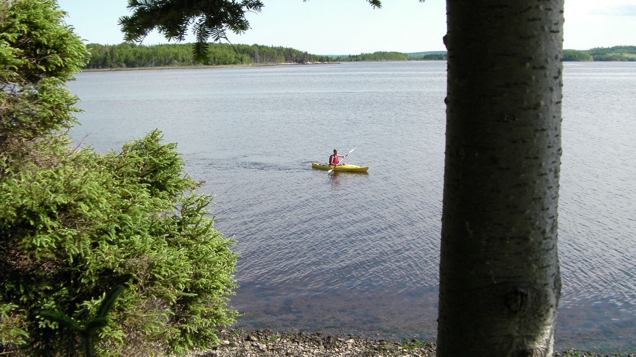 Photo of Others in Antigonish