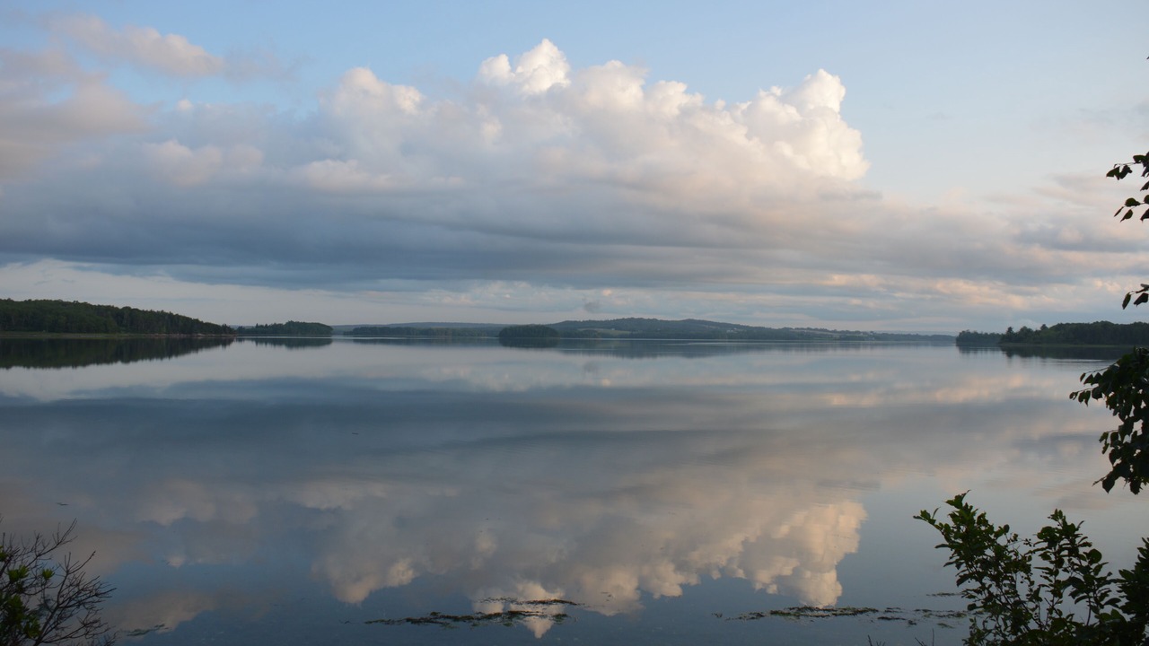 Photo of Others in Antigonish