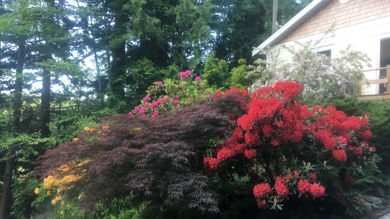 Photo of Outdoor in Madeira Park