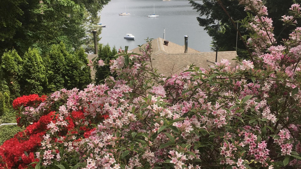 Photo of Outdoor in Madeira Park