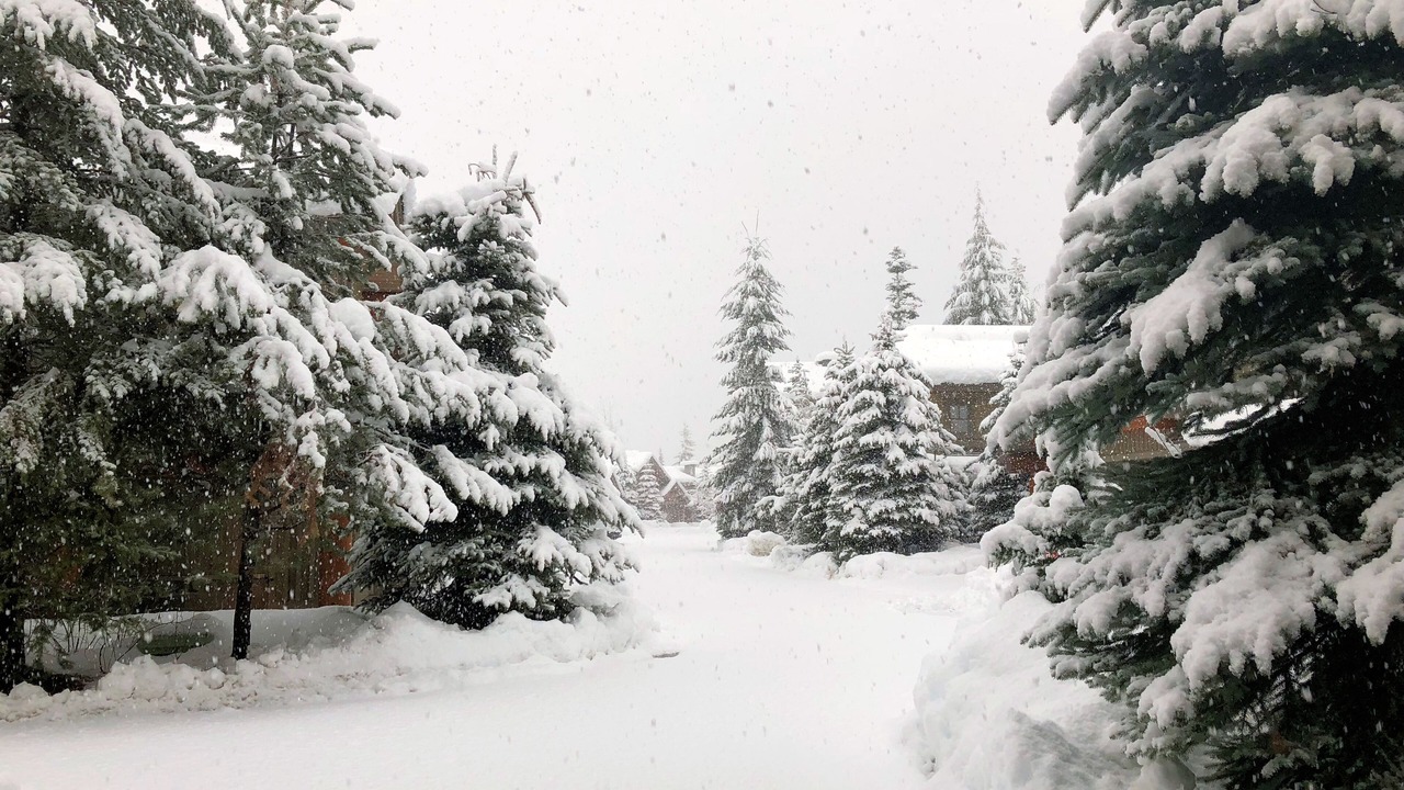 Photo of Others in Whistler Creekside