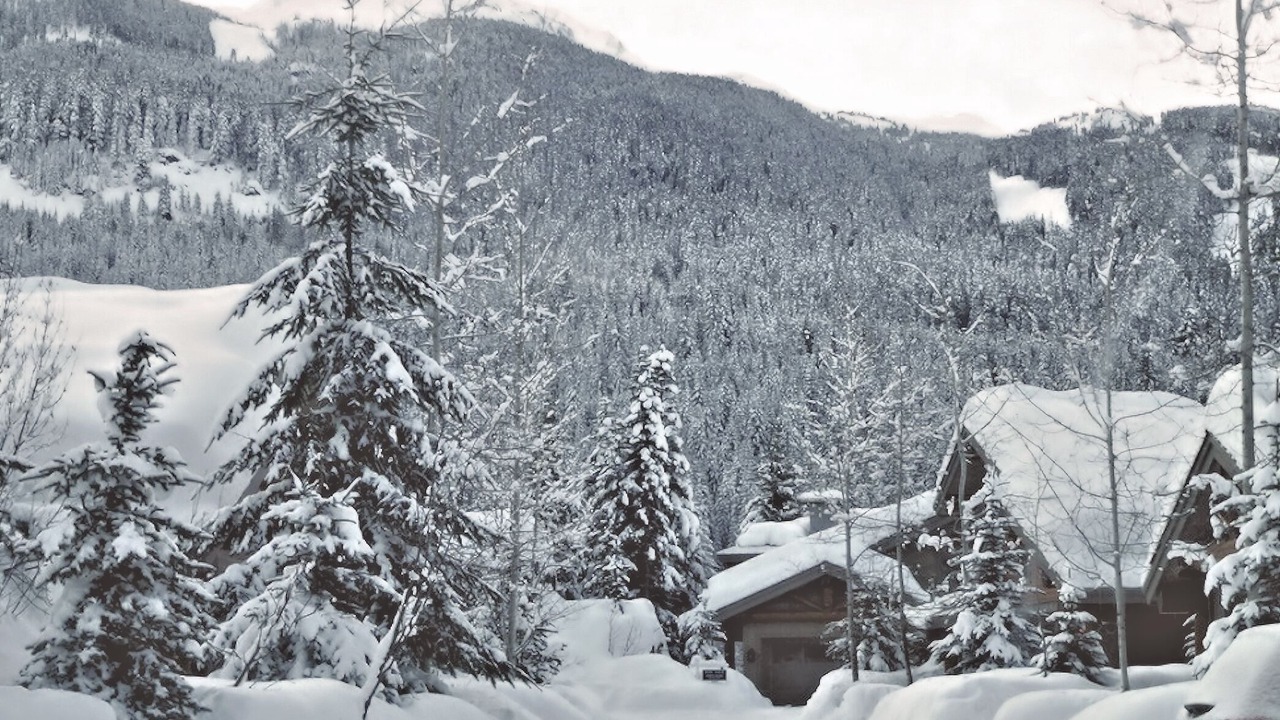 Photo of Others in Whistler Creekside
