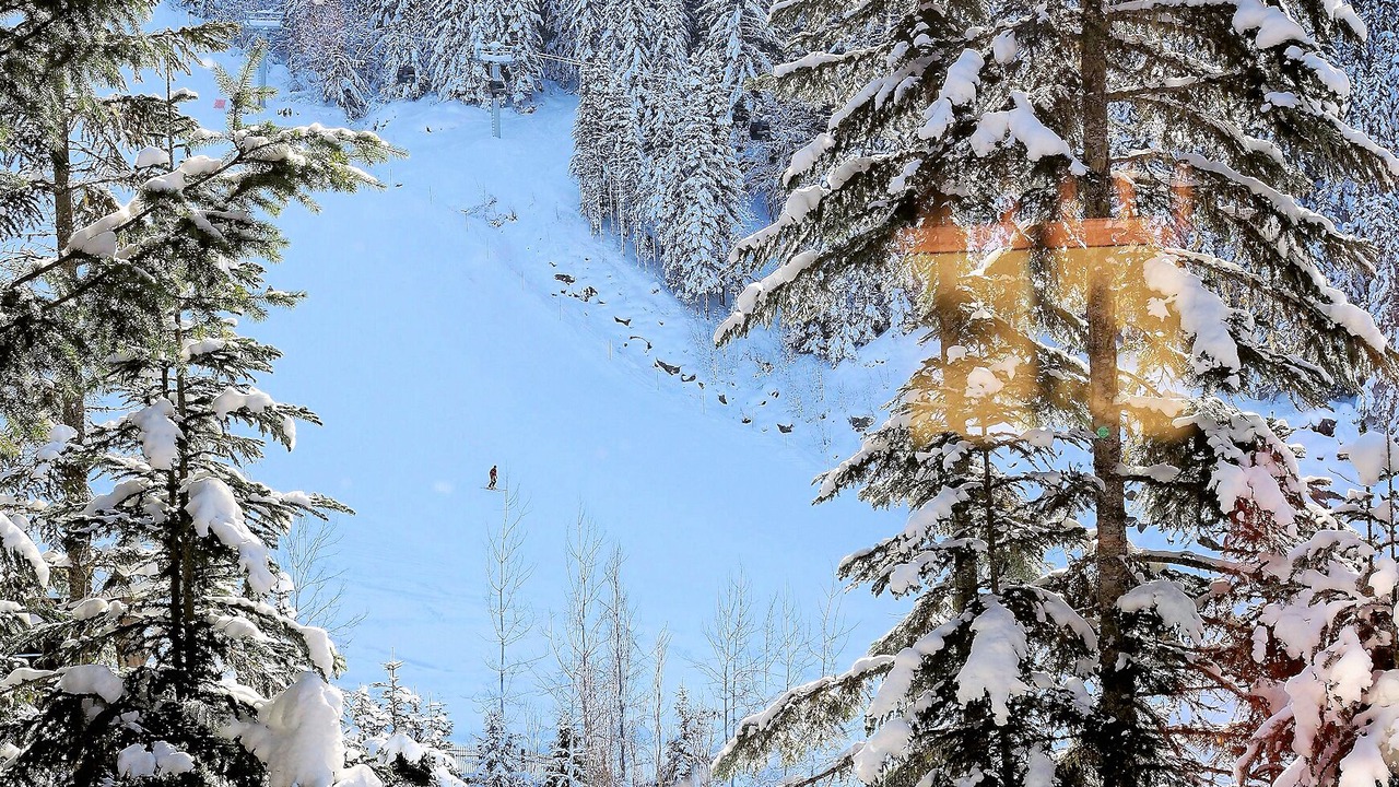 Photo of Others in Whistler Creekside