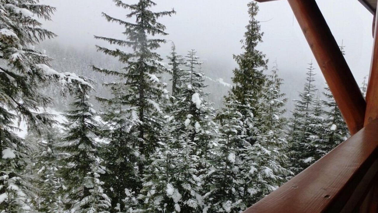 Photo of Patio Balcony in Whistler Creekside