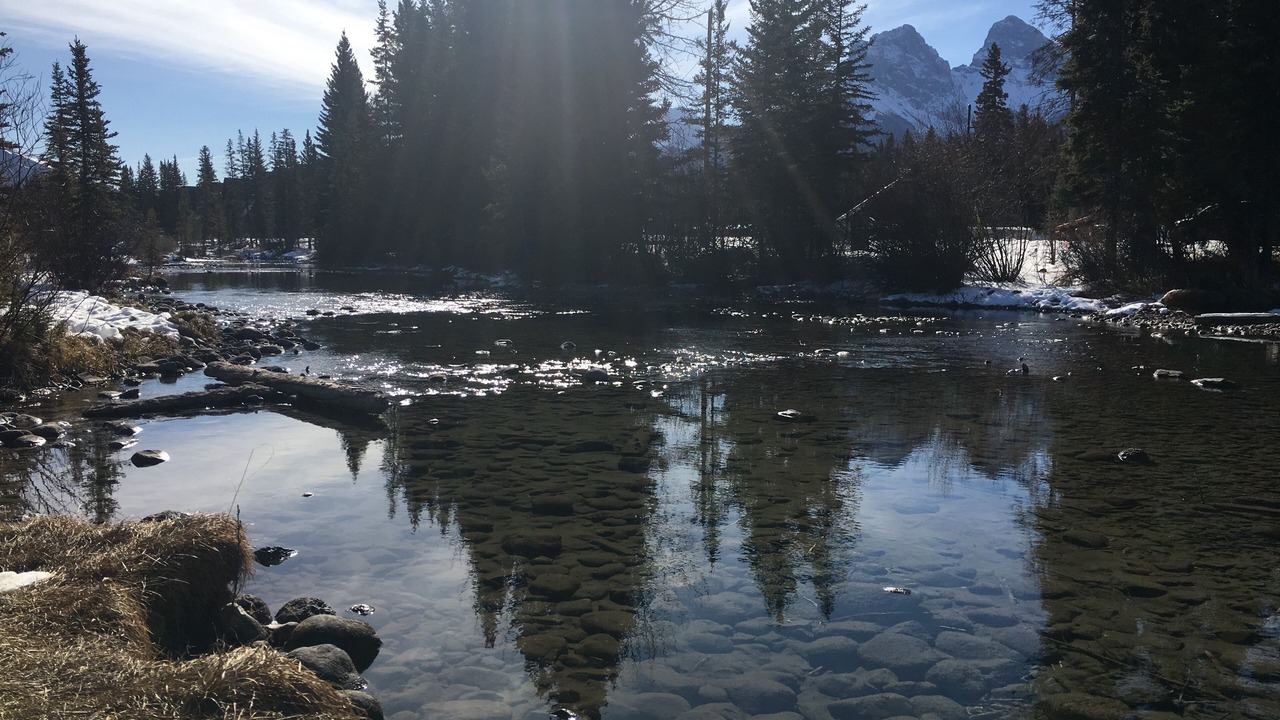 Photo of Others in Canmore