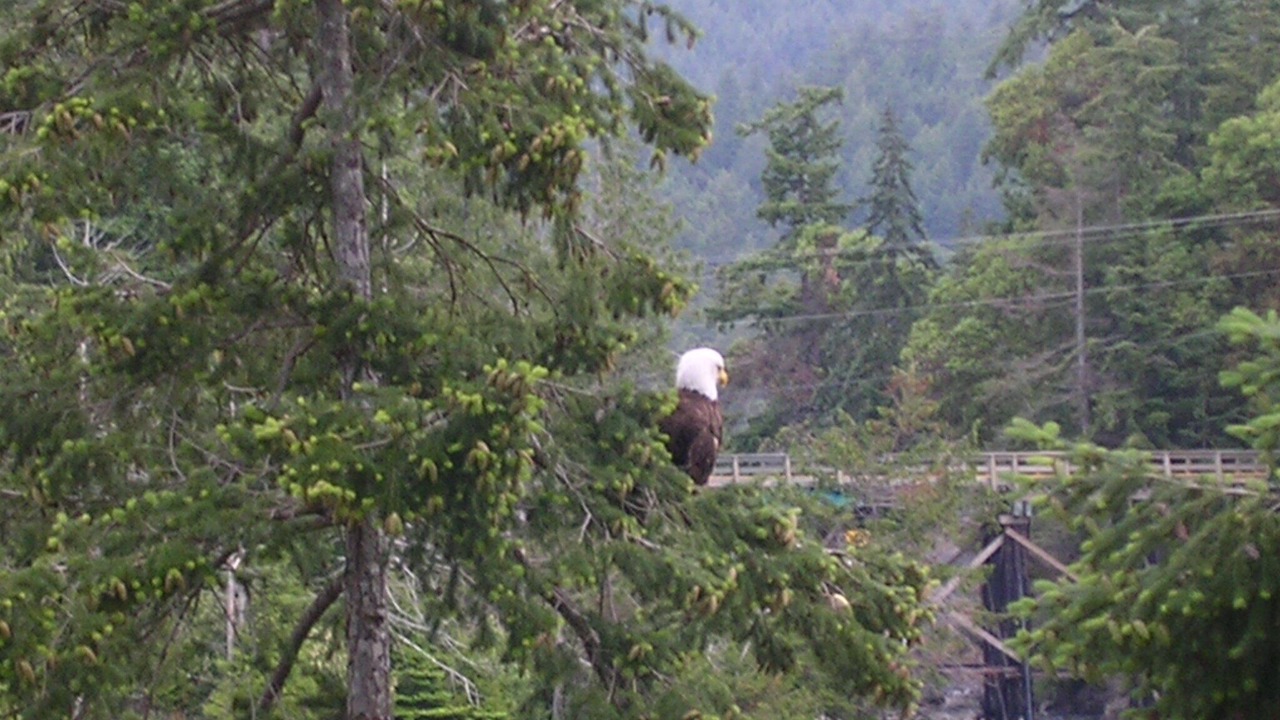 Photo of Others in Pender Island