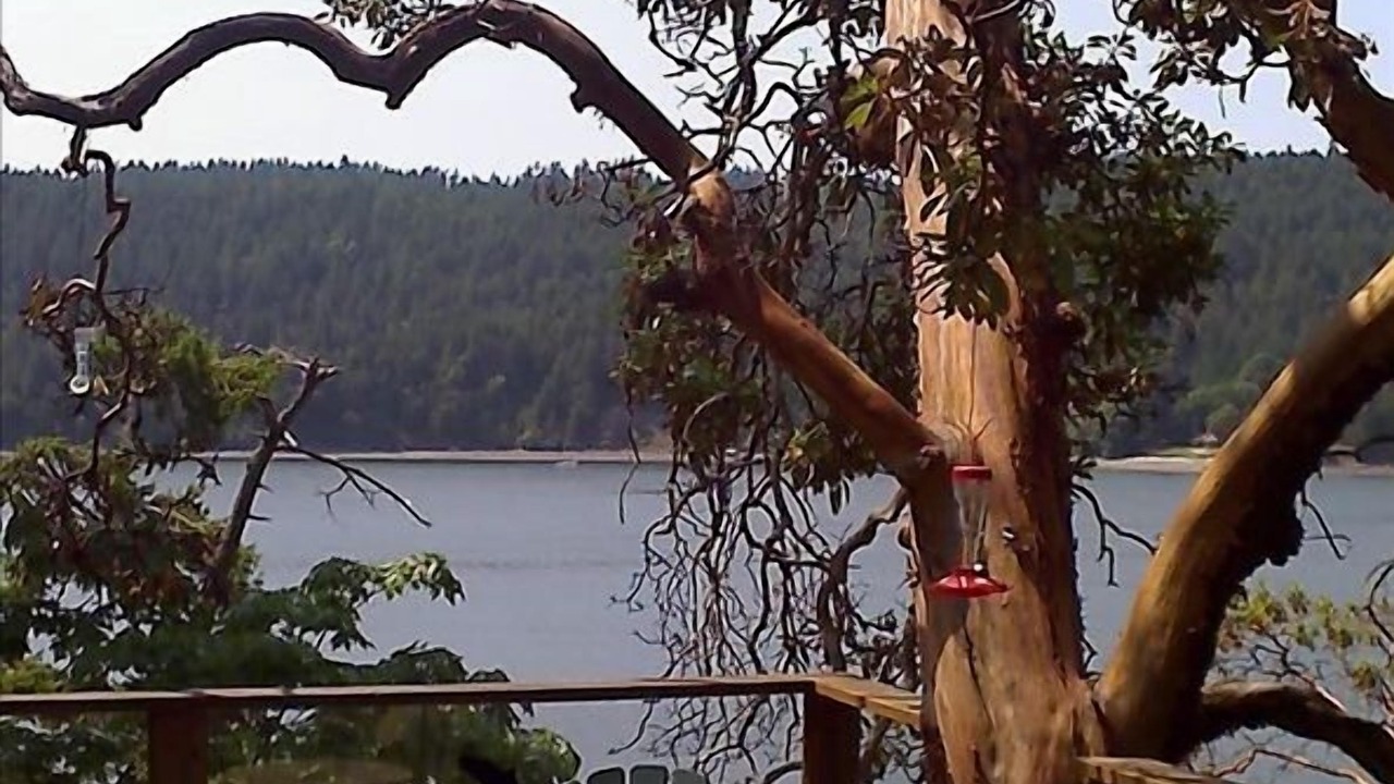Photo of Others in Pender Island