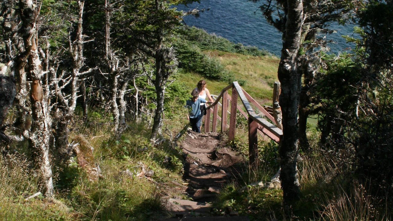 Photo of Others in New Bonaventure