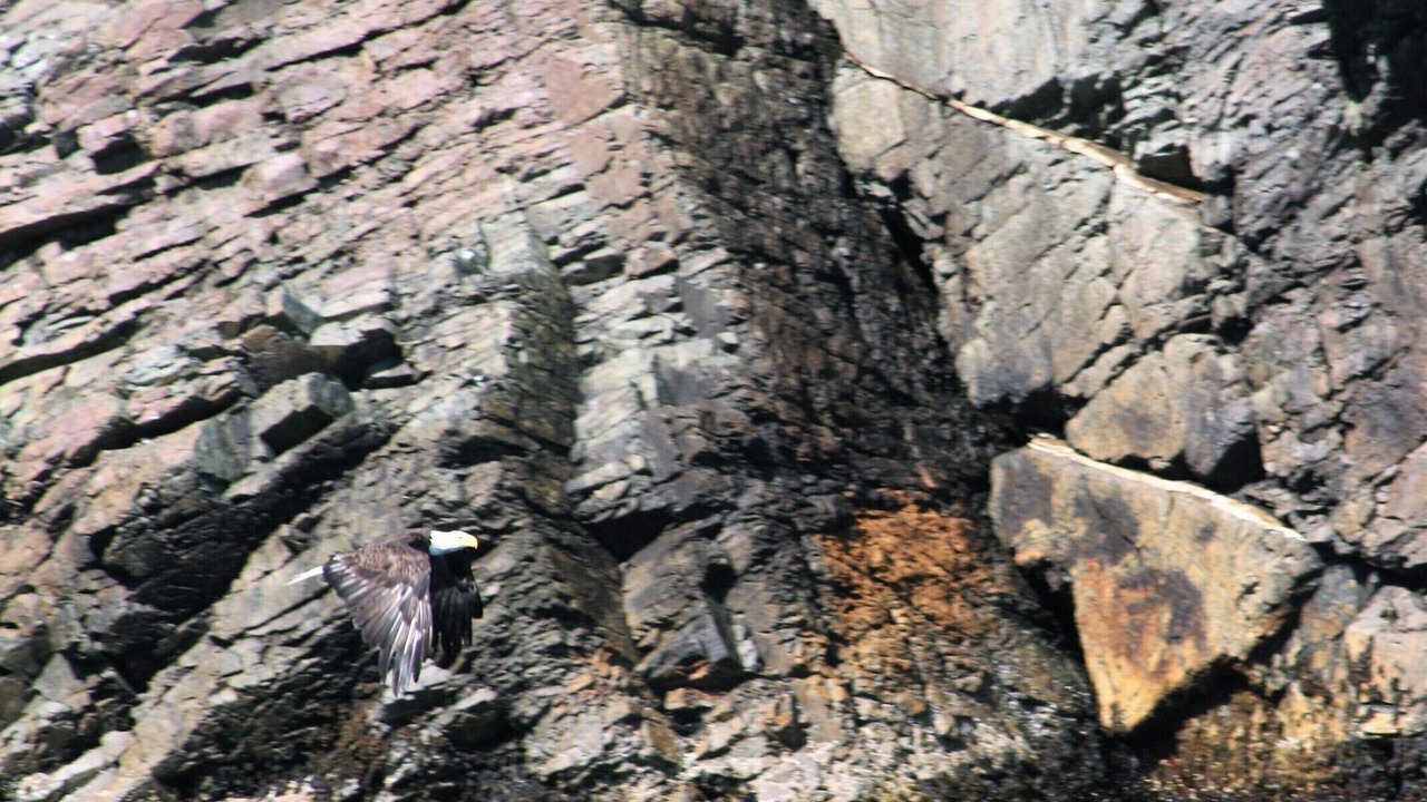 Photo of Others in New Bonaventure
