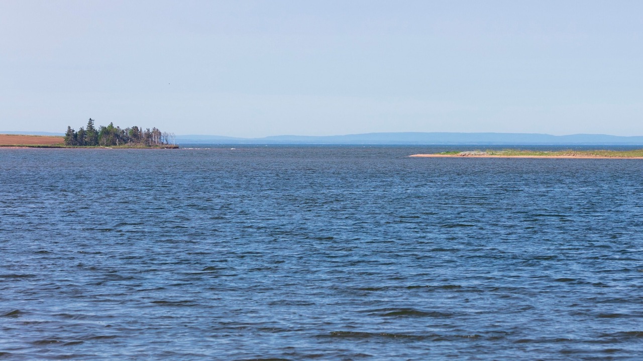 Photo of Others in Belle River