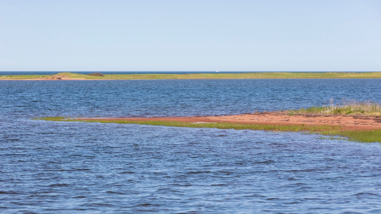 Photo of Others in Belle River
