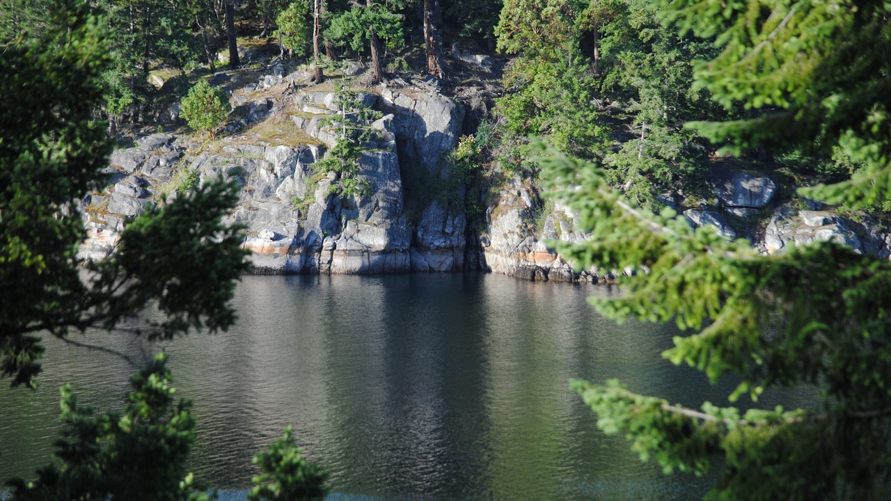 Photo of Others in West Porpoise Bay