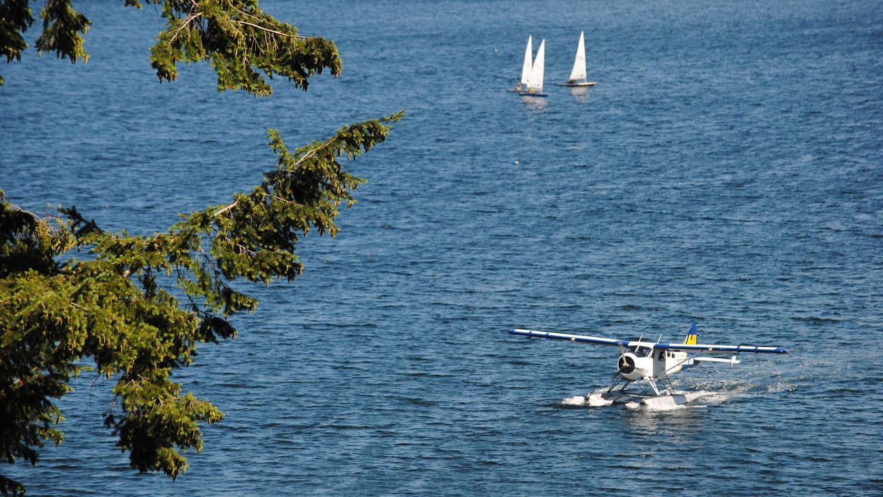 Photo of Others in West Porpoise Bay