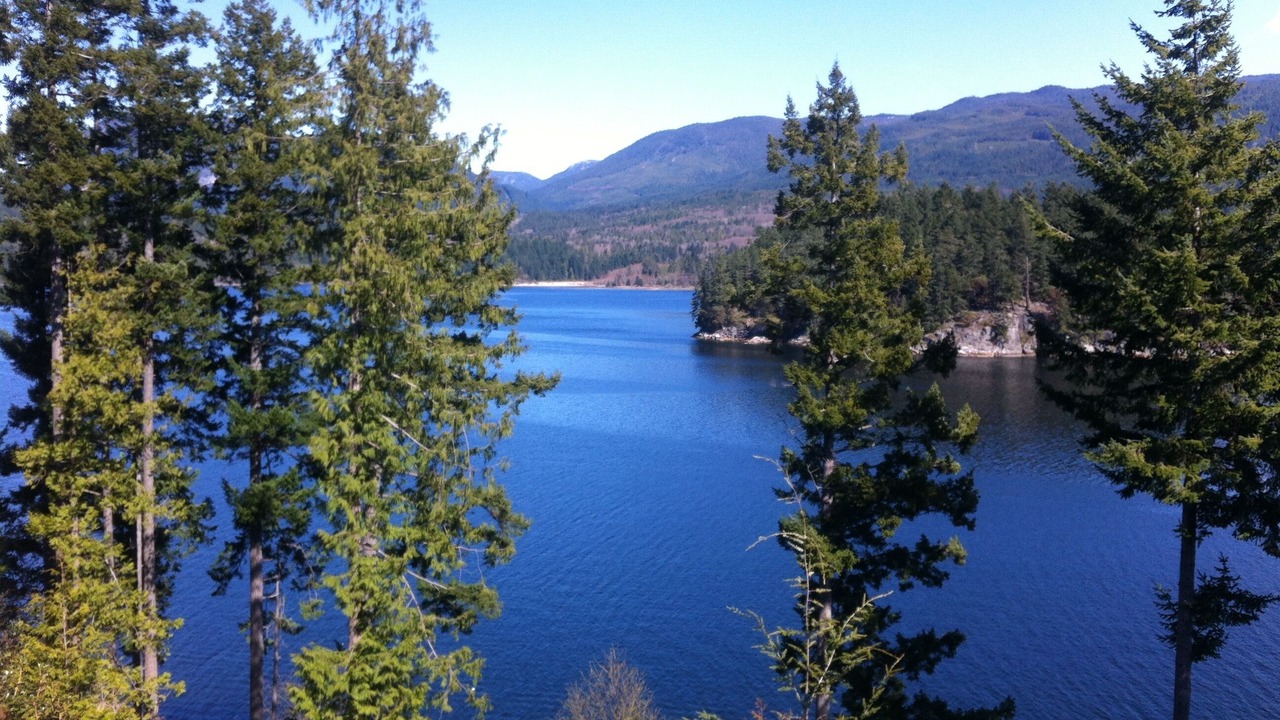 Photo of Others in West Porpoise Bay