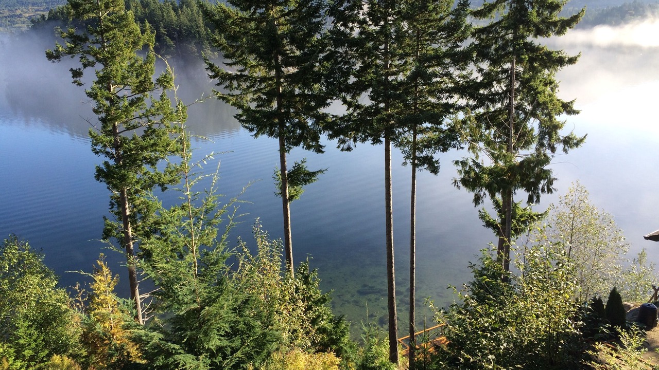 Photo of Others in West Porpoise Bay