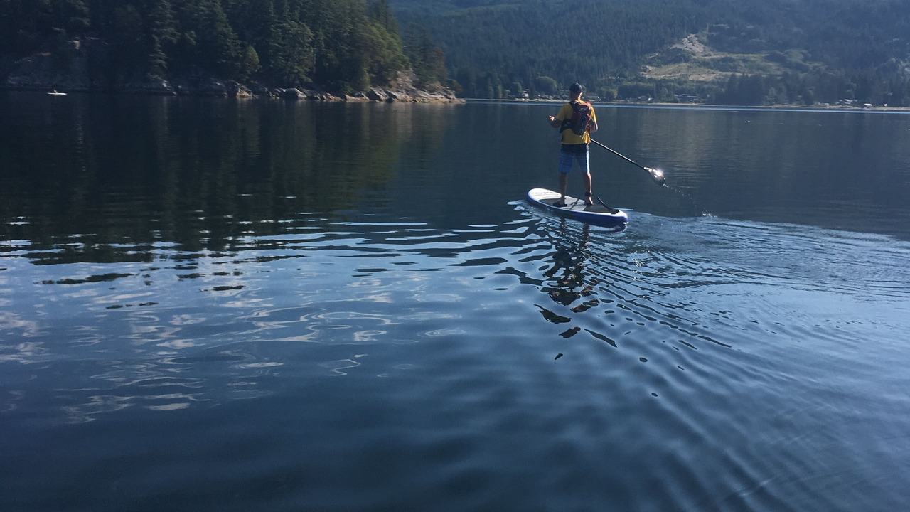 Photo of Others in West Porpoise Bay