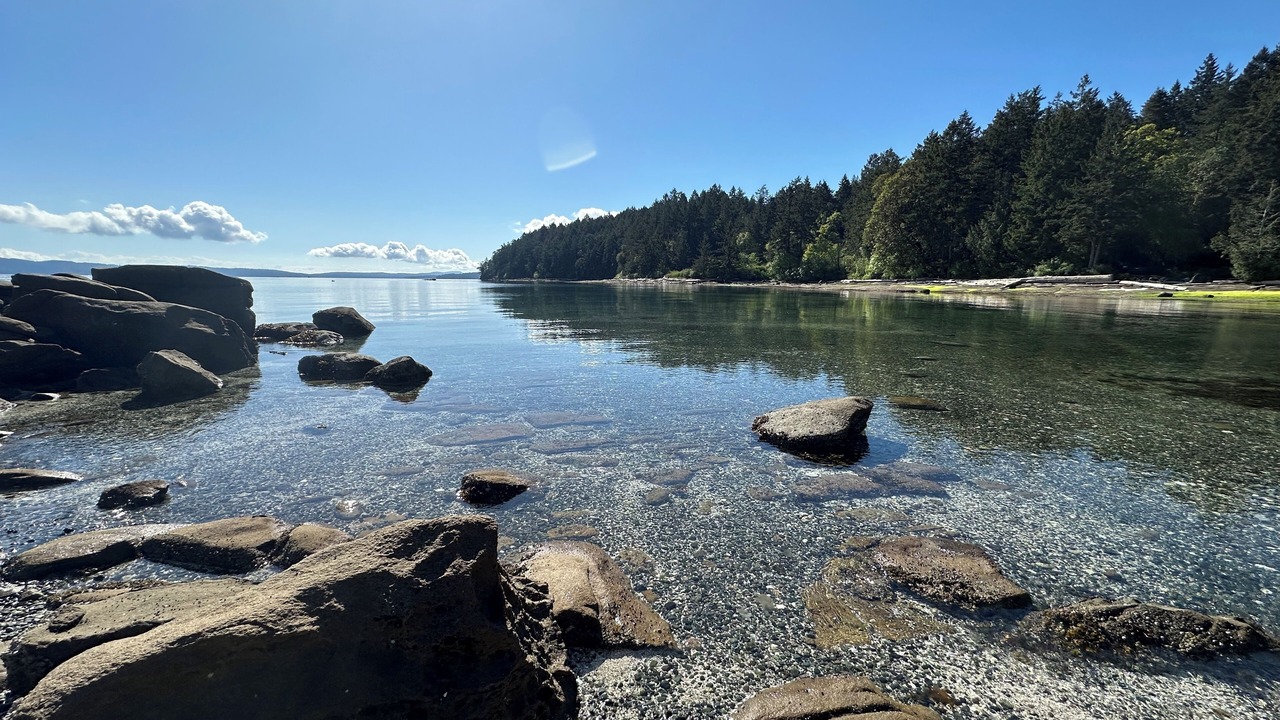 Photo of Others in Yellow Point