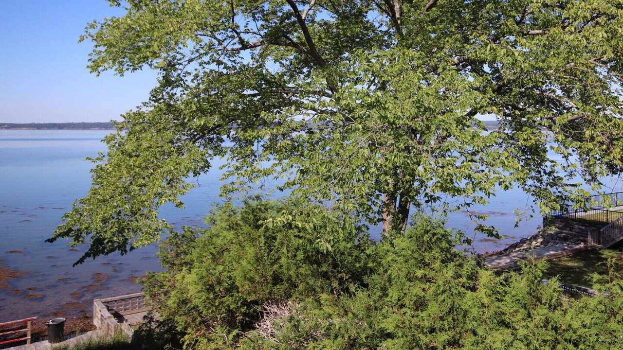 Photo of Outdoor in St. Andrews