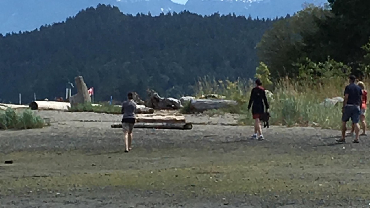 Photo of Others in Gibsons