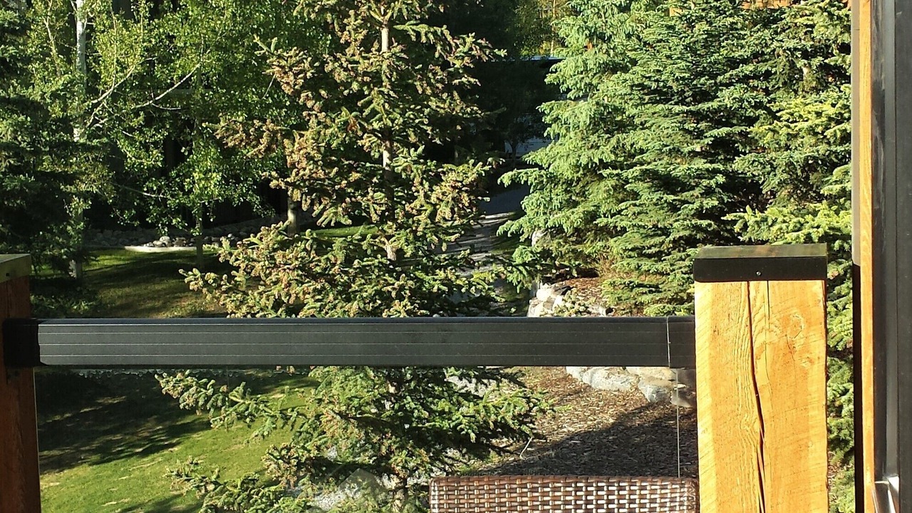 Photo of Others in Canmore