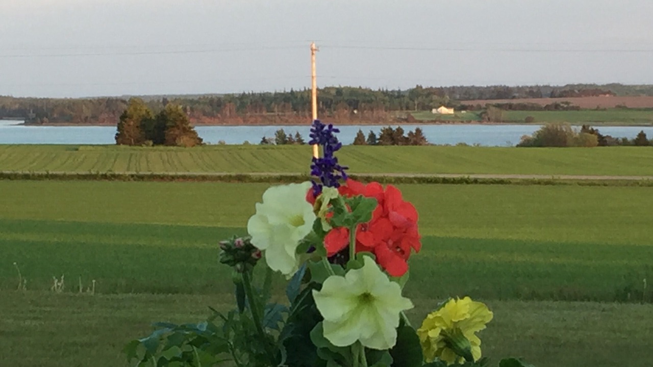 Photo of Others in Saint Peters Bay