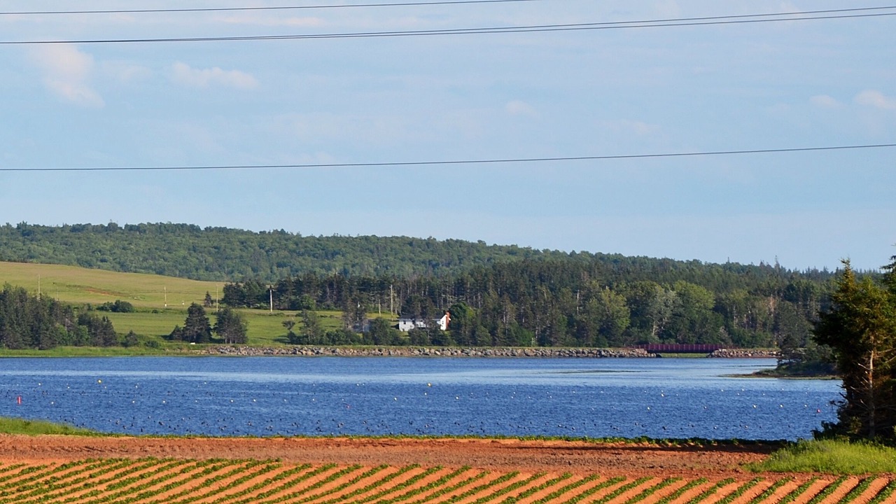 Photo of Others in Saint Peters Bay