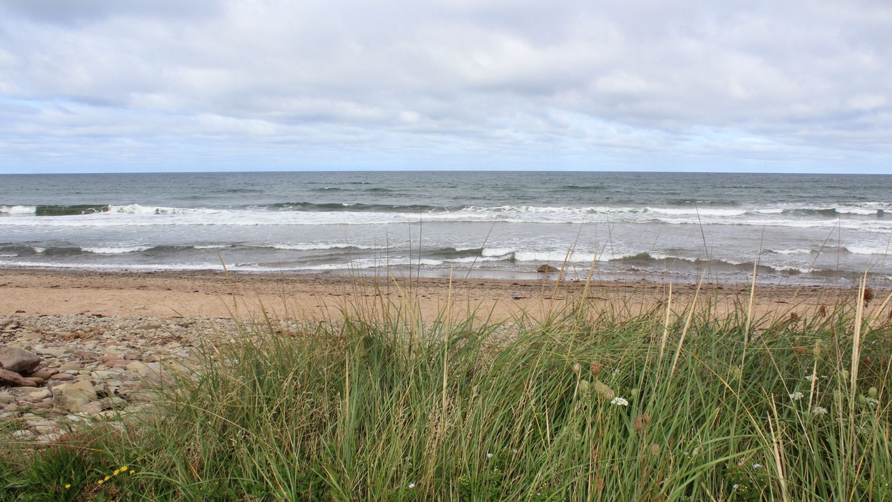 Photo of Others in Inverness