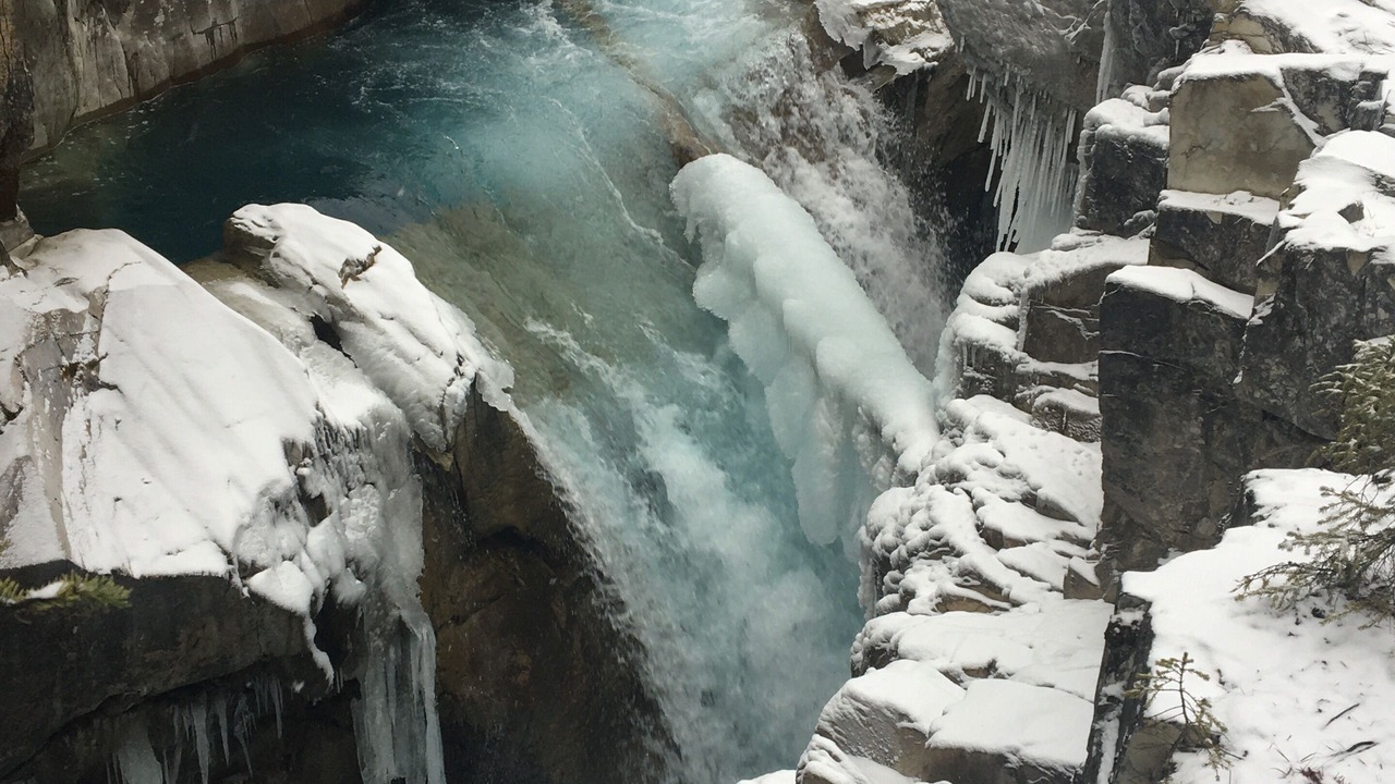 Photo of Others in Columbia Valley