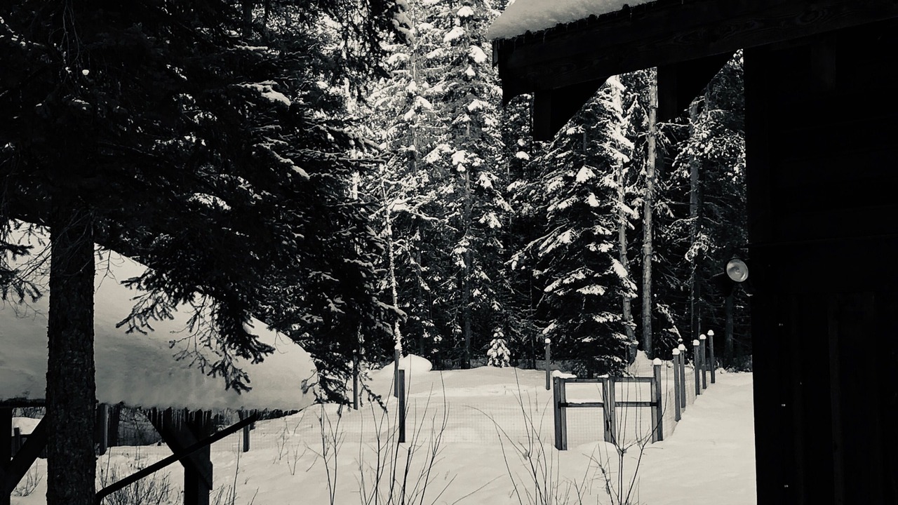 Photo of Others in Columbia Valley