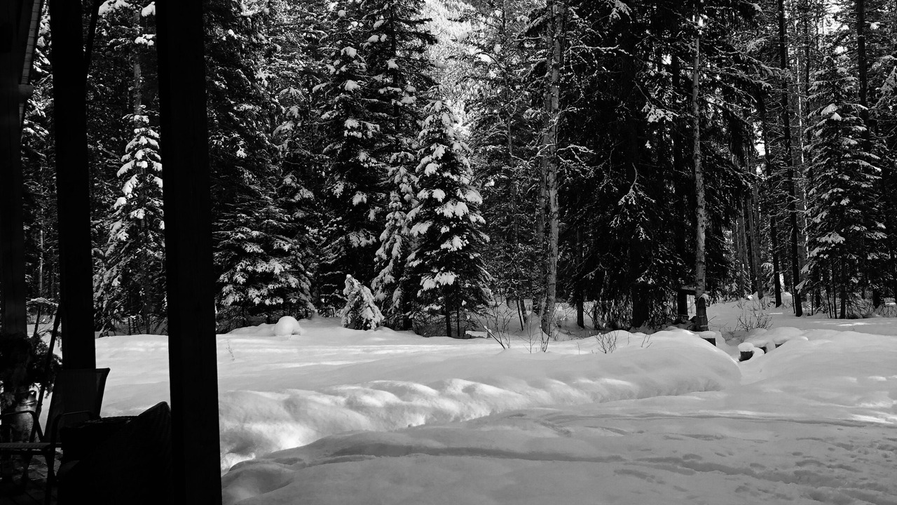 Photo of Others in Columbia Valley