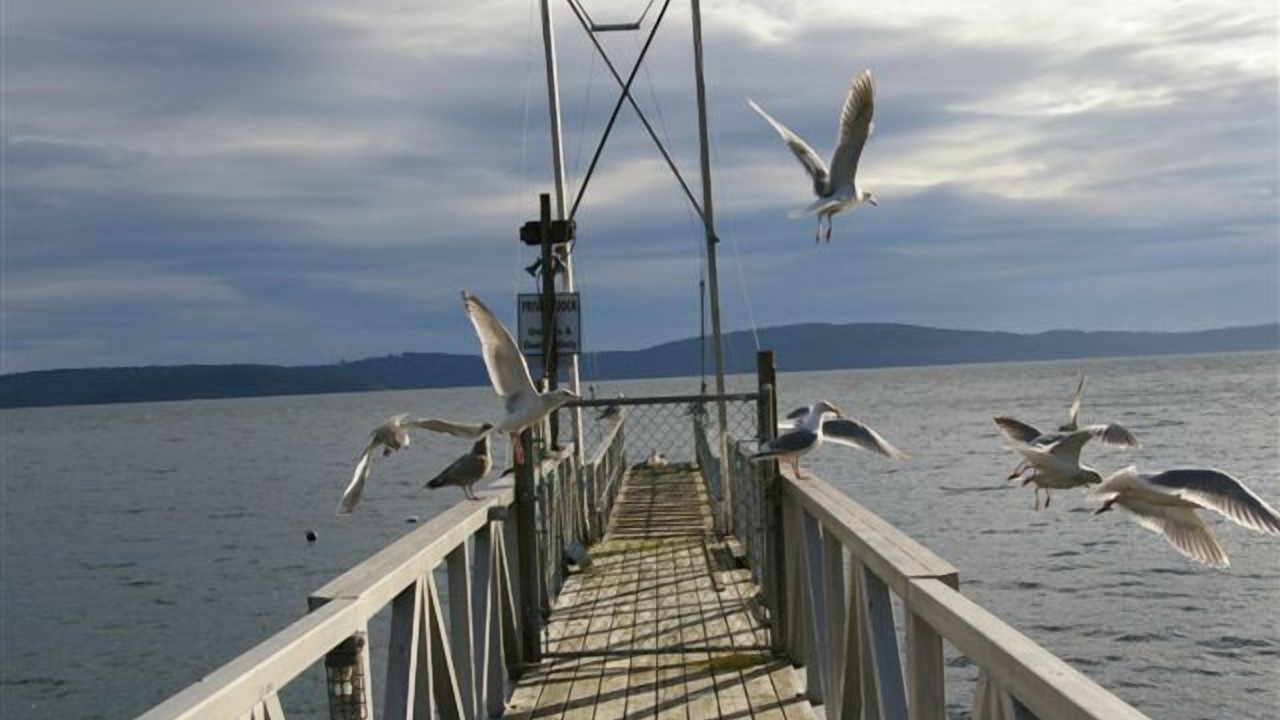 Photo of Outdoor in Yellow Point
