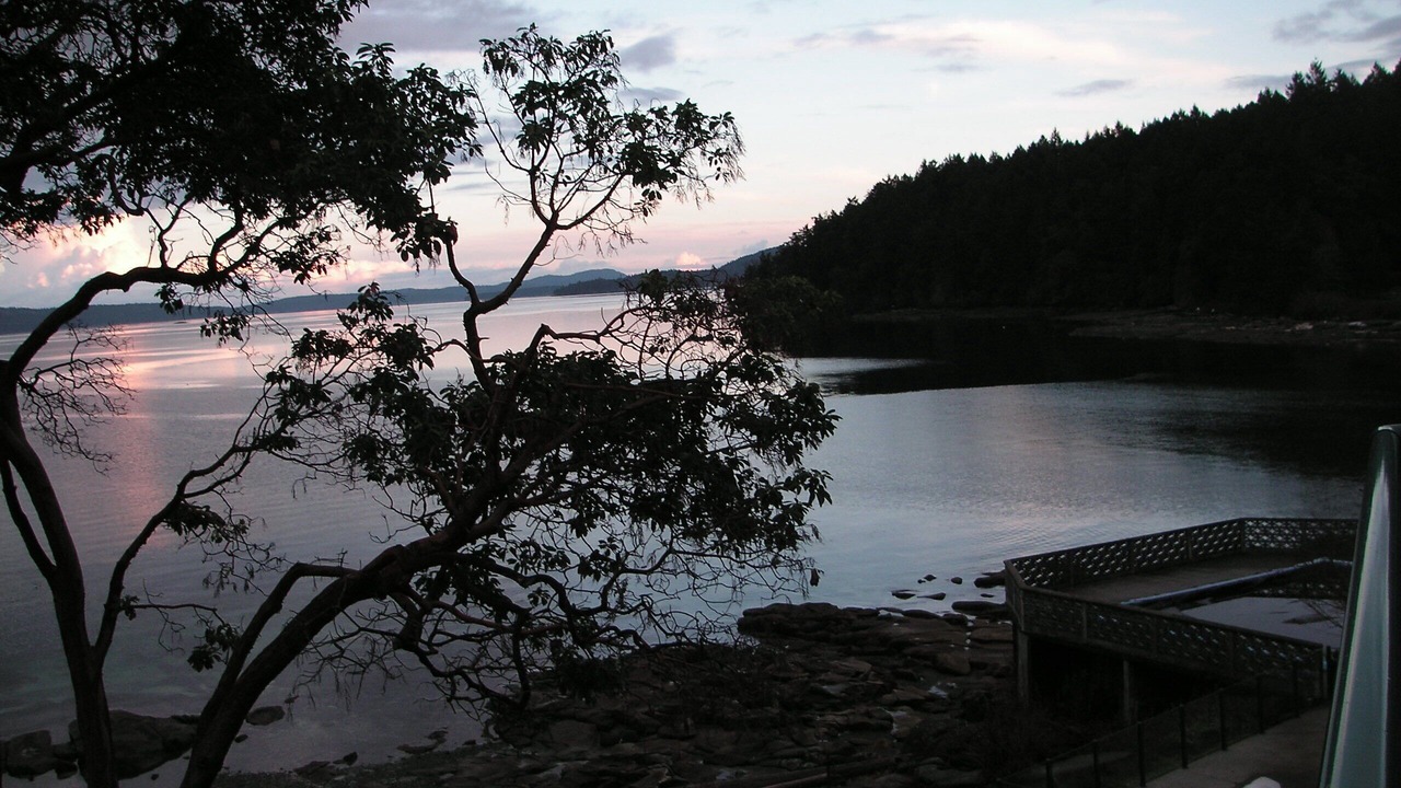 Photo of Others in Yellow Point