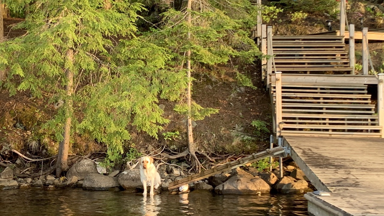 Photo of Others in North Kawartha