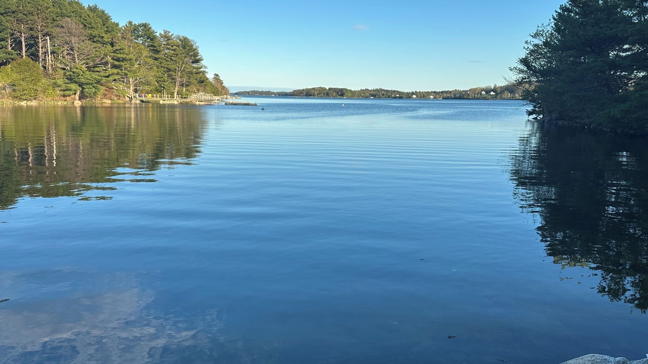 Photo of Others in Mahone Bay