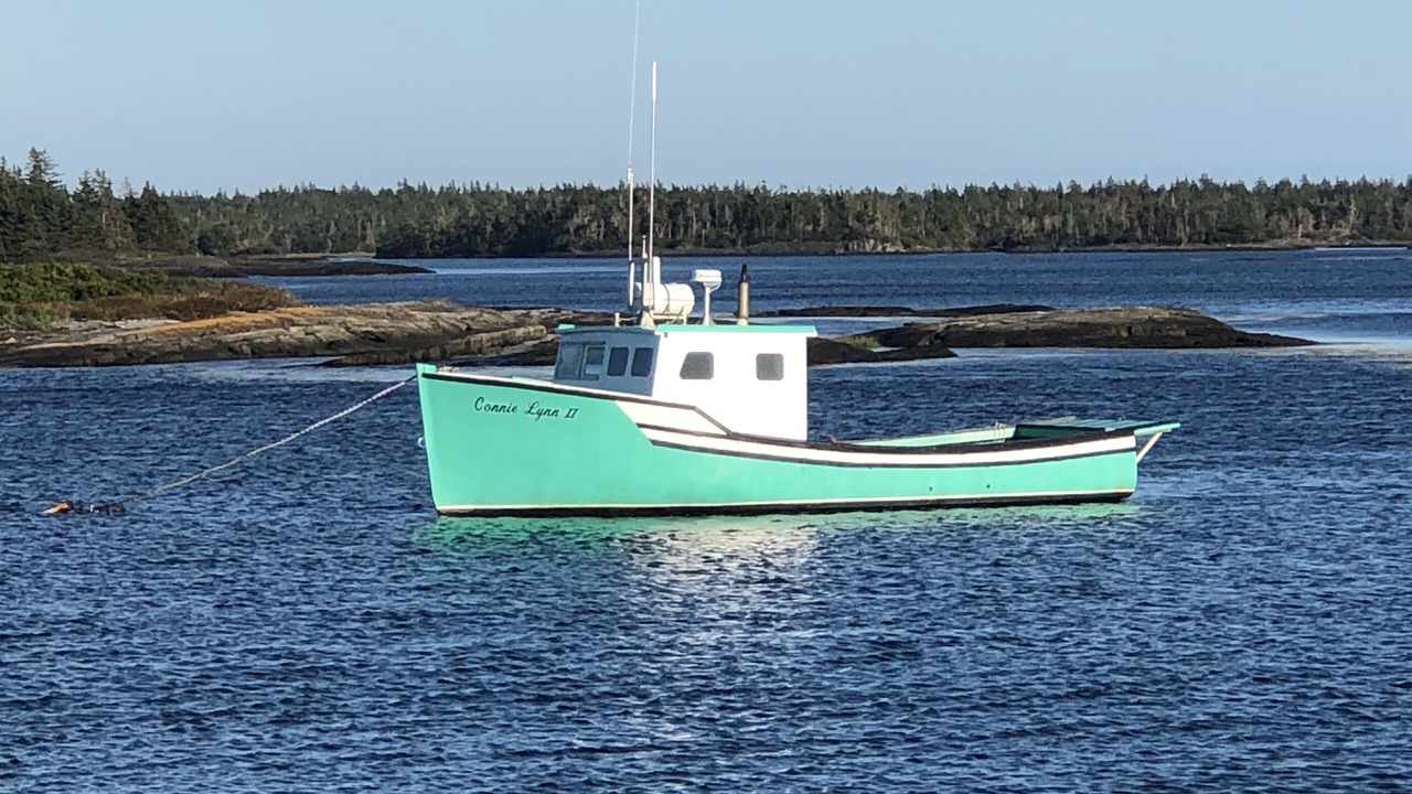 Photo of Others in Mahone Bay