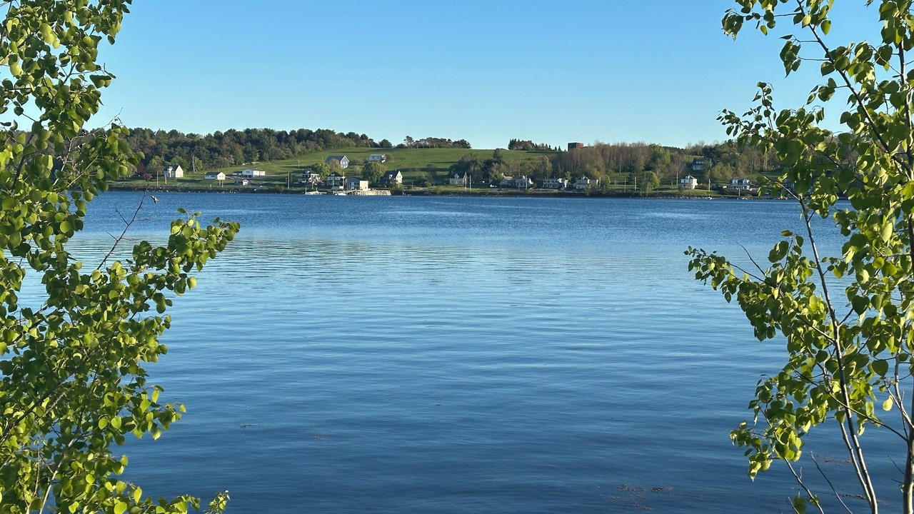 Photo of Others in Mahone Bay