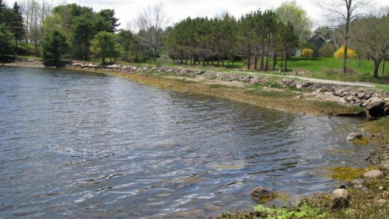 Photo of Others in Mahone Bay