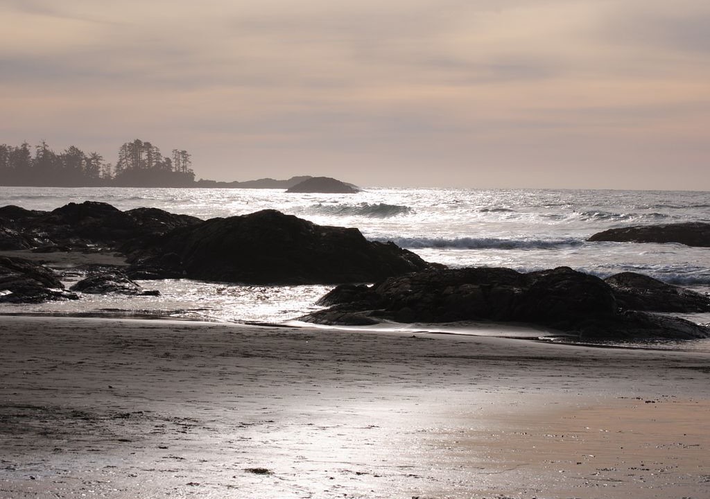 Photo of Others in Tofino