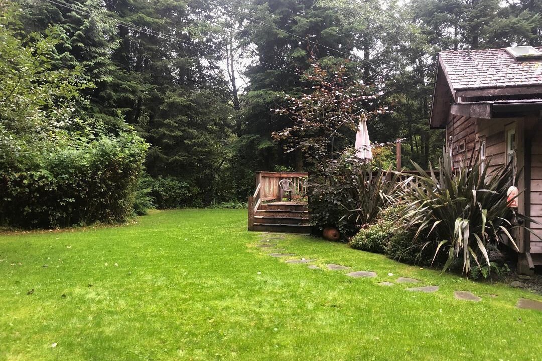 Photo of Others in Tofino