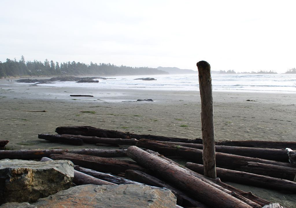Photo of Others in Tofino