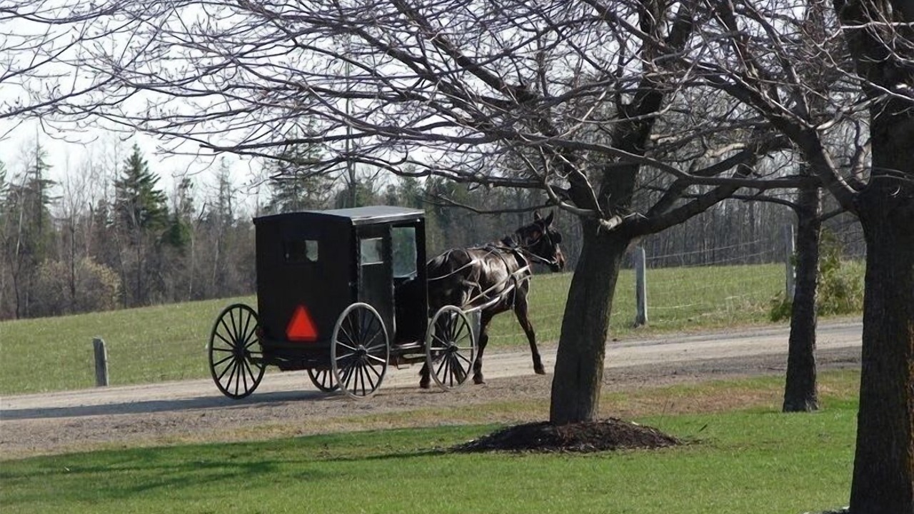 Photo of Others in Grey Highlands